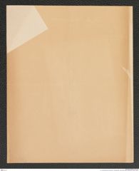 k.k. naturhistorisches Hofmuseum, Intendanzakten 1885-1896 (Hauer), Aktenzahl Z.44/1891, Seite 2
